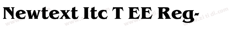 Newtext Itc T EE Reg字体转换